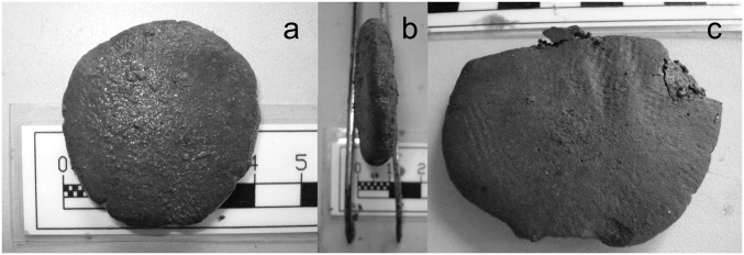 Fig. 2.