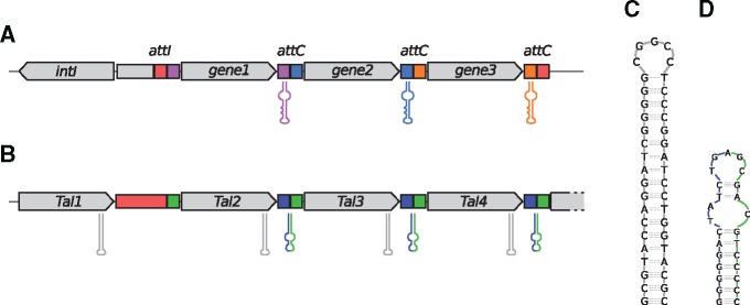 Fig. 6.