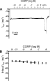 Fig. 10.