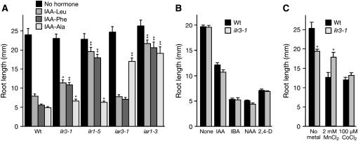 Figure 4.—