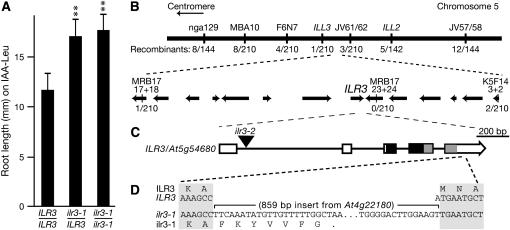 Figure 1.—