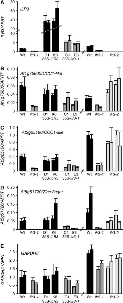 Figure 6.—