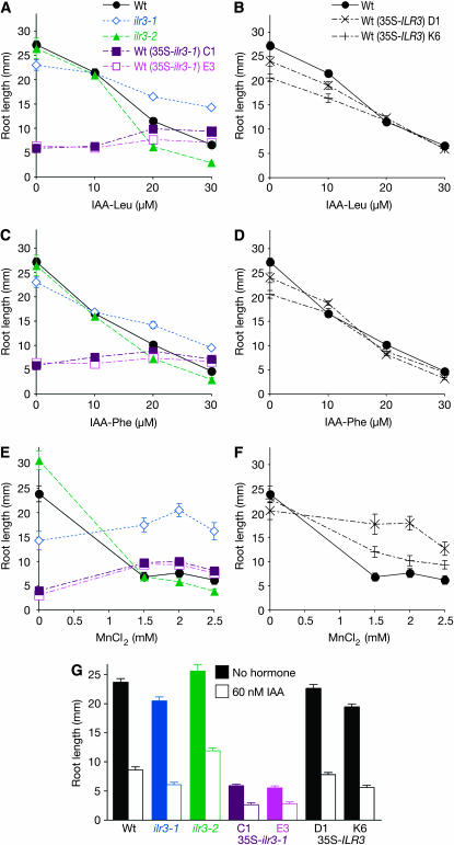 Figure 5.—