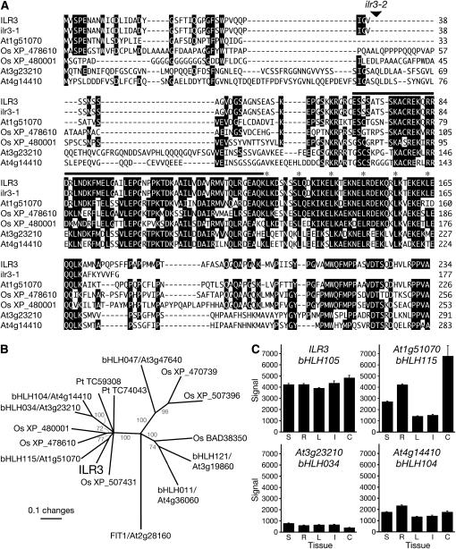 Figure 2.—