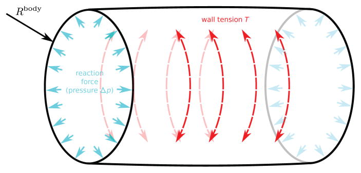 Fig. 12