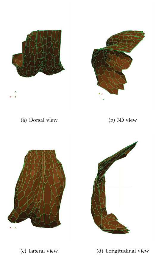 Fig. 14