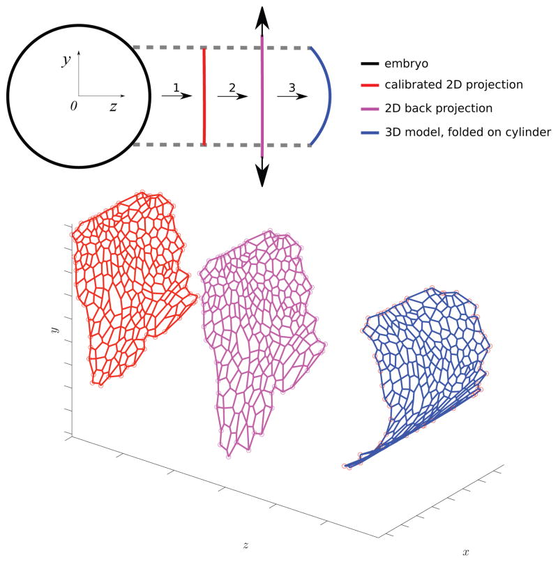 Fig. 10