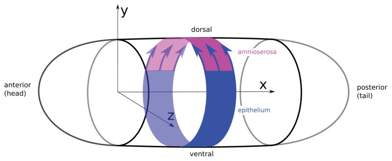 Fig. 9