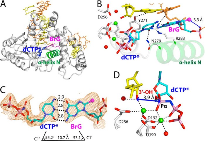 FIGURE 3.