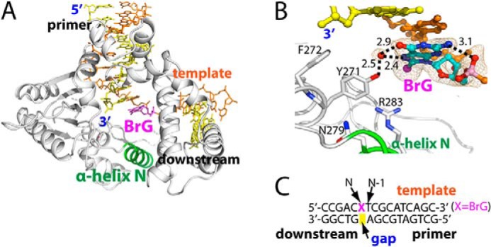 FIGURE 2.