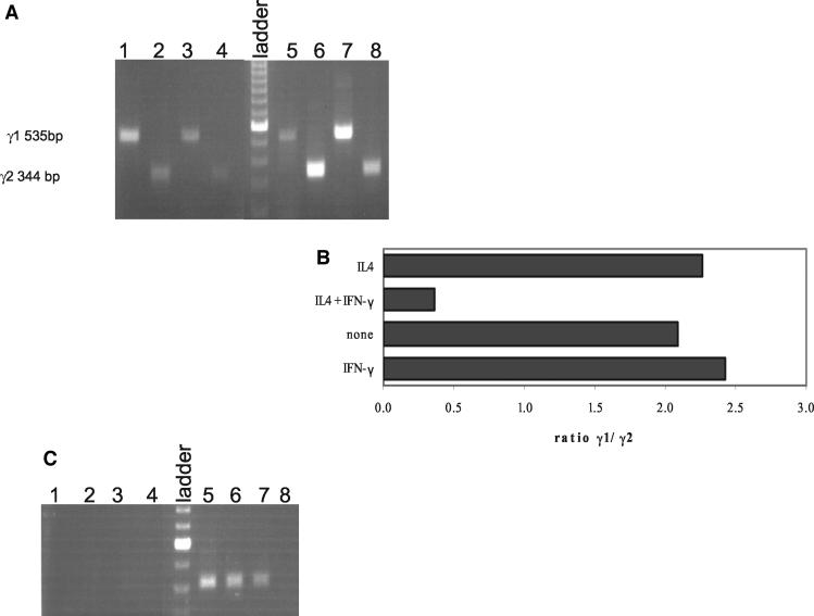 FIG. 5.