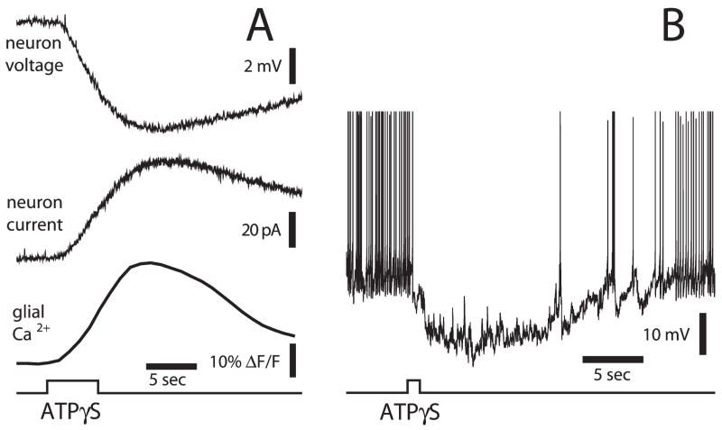 Fig. 5