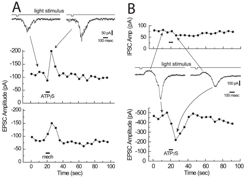 Fig. 4