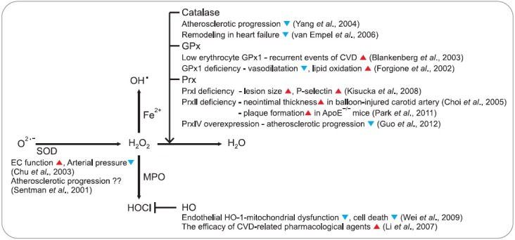 Fig. 3.