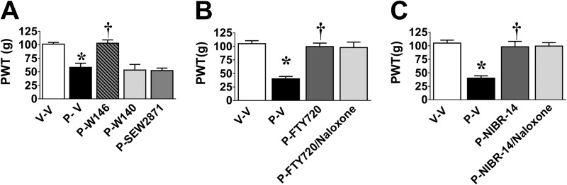 FIGURE 9.