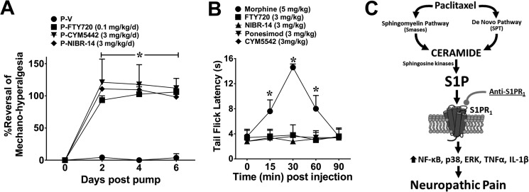 FIGURE 10.