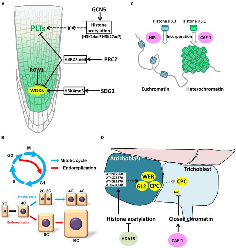 FIGURE 2