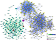 Figure 3 is a schematic of Protein network showcasing the connections between Nodes, namely, methylation related pathways (MRP), smoking DMPs, cadmium- and smoking-DMPs, and smoking-DMPs and MRP. There is a scale at the right-bottom titled Edge displaying the confidence score, ranging from 0 to 1.