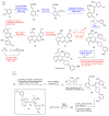 Scheme 5