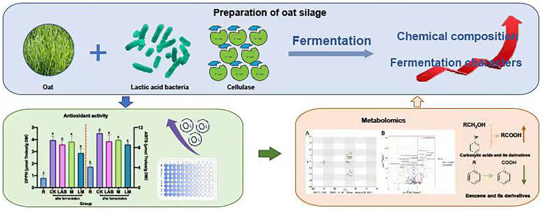 graphic file with name 40643_2024_806_Figa_HTML.jpg