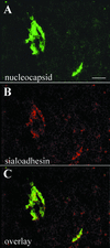 FIG. 3.