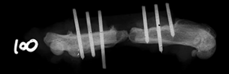 Fig. 4