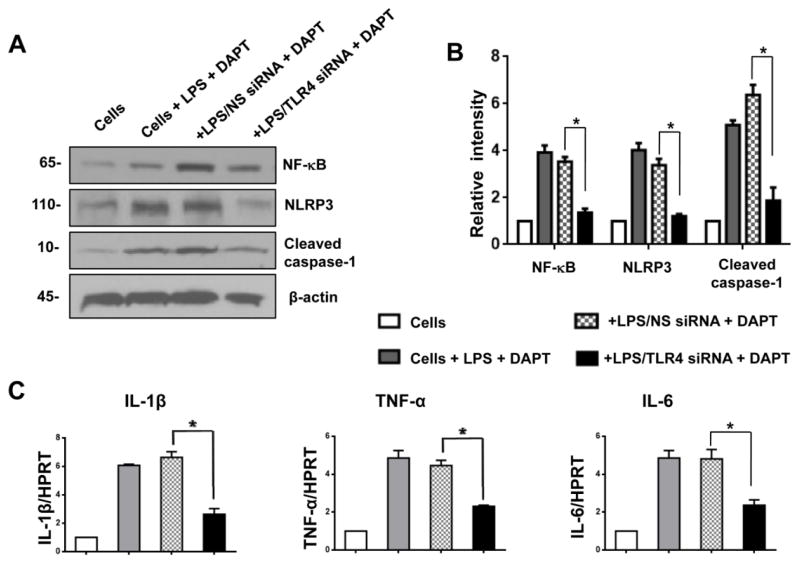 Figure 7