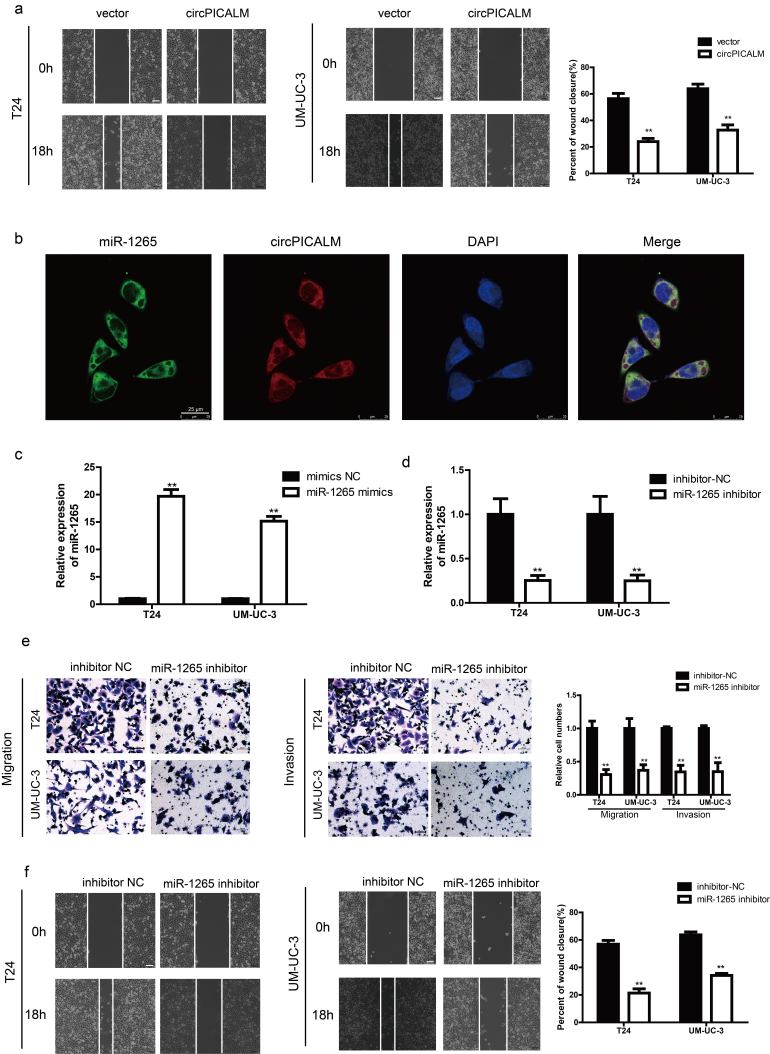 Supplementary Fig. 2