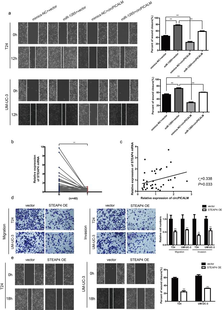 Supplementary Fig. 3