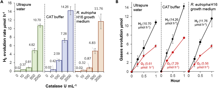 Figure 3