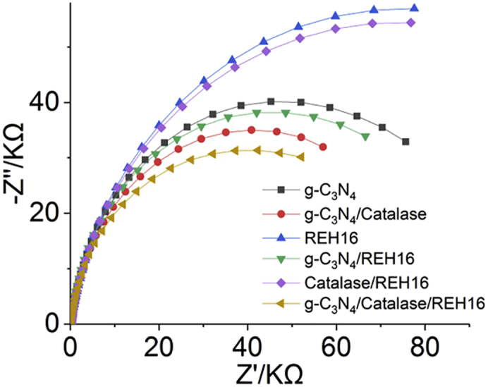 Figure 7