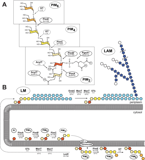 FIGURE 1.