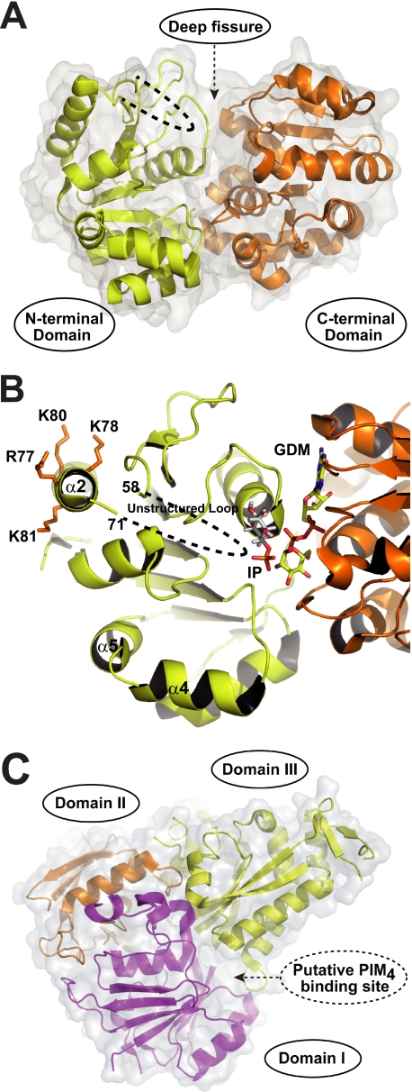 FIGURE 2.