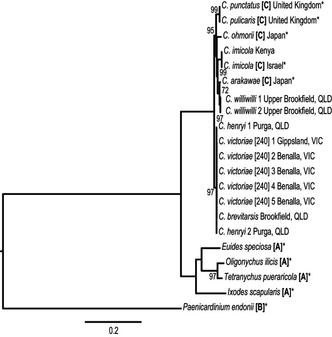 FIG 2