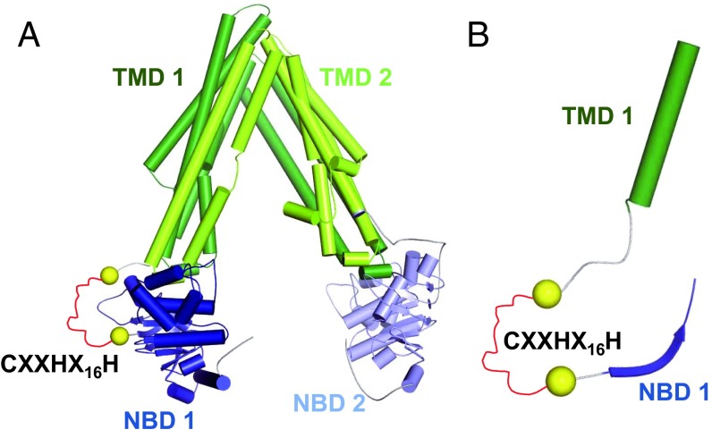 Fig. 2.