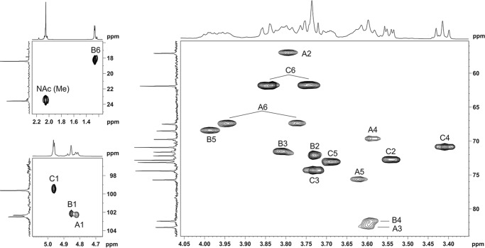 FIGURE 5.