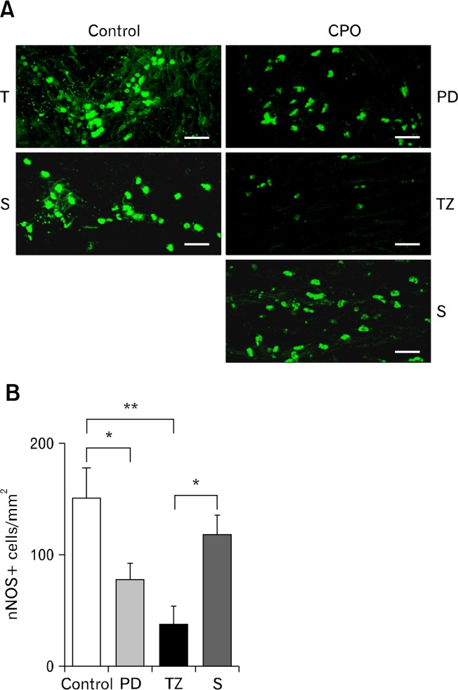 Figure 7.