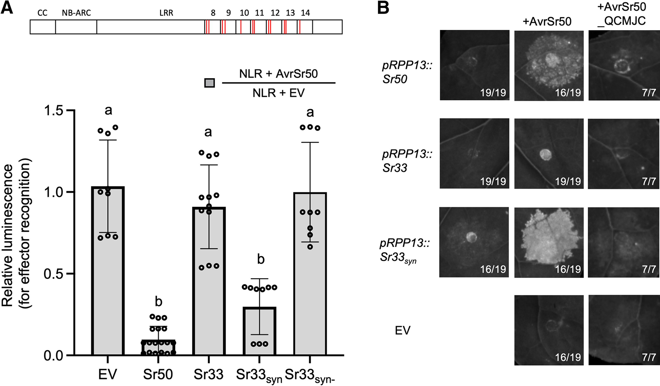 Fig. 4.