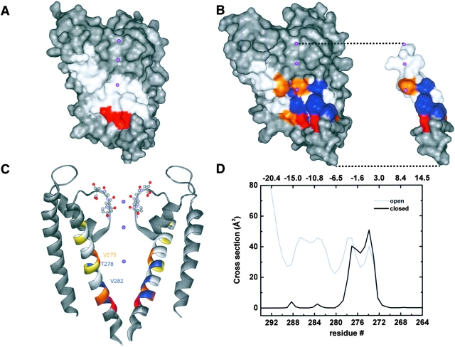 Figure 10. 