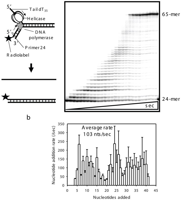 Fig. 2.4