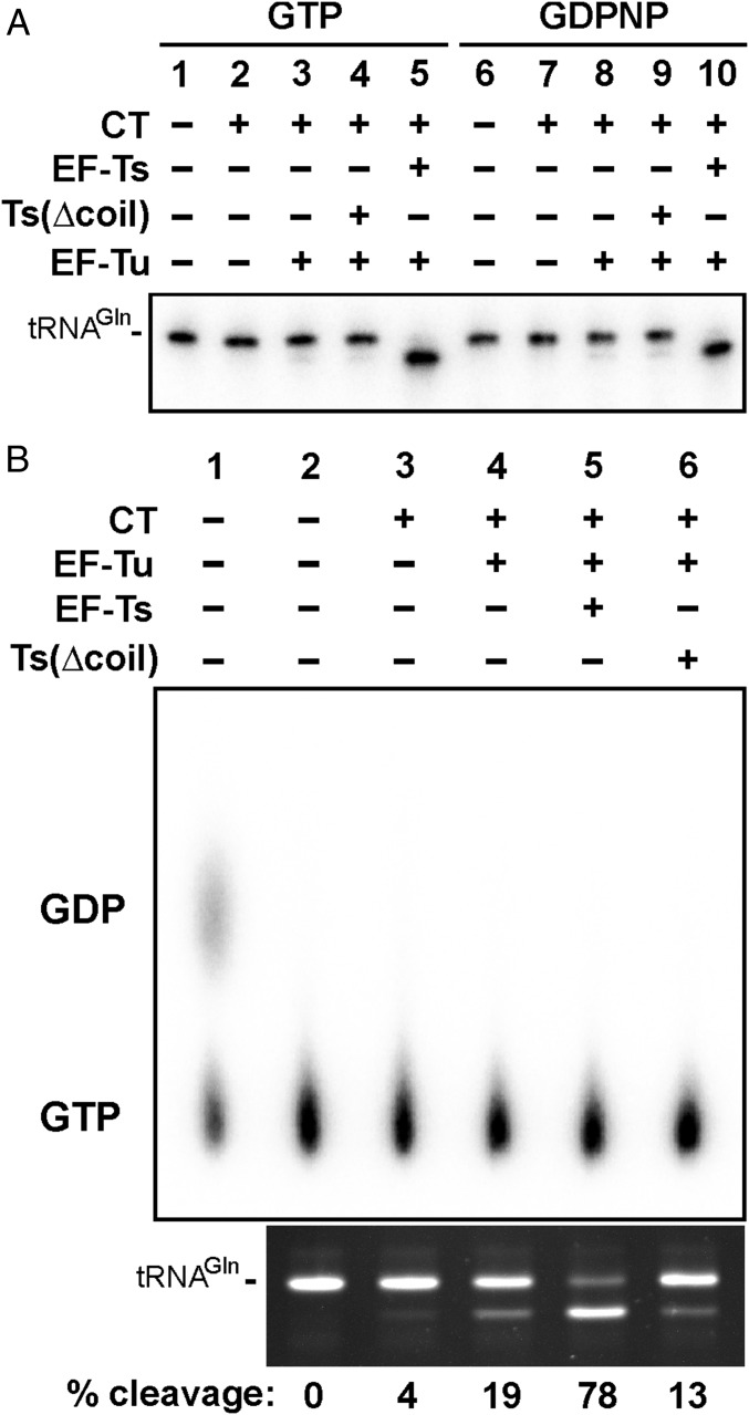 Fig. 4.