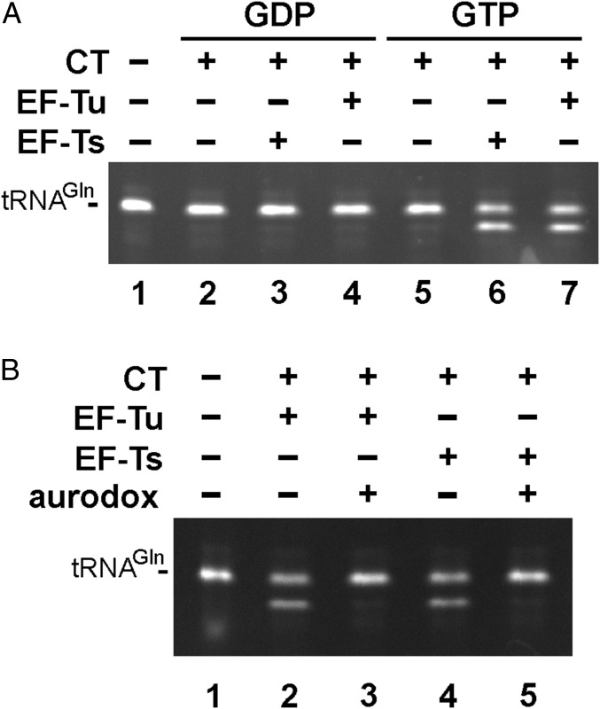 Fig. 5.