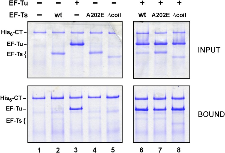 Fig. S5.