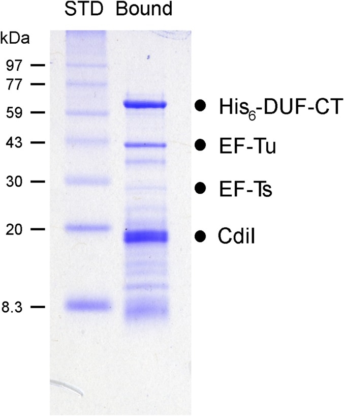 Fig. S3.