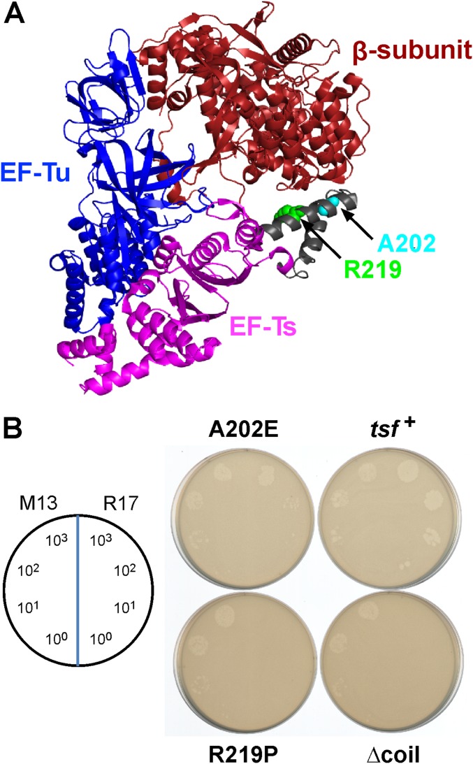 Fig. S4.