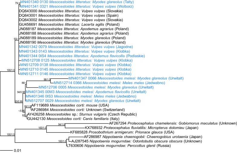 Fig. 1