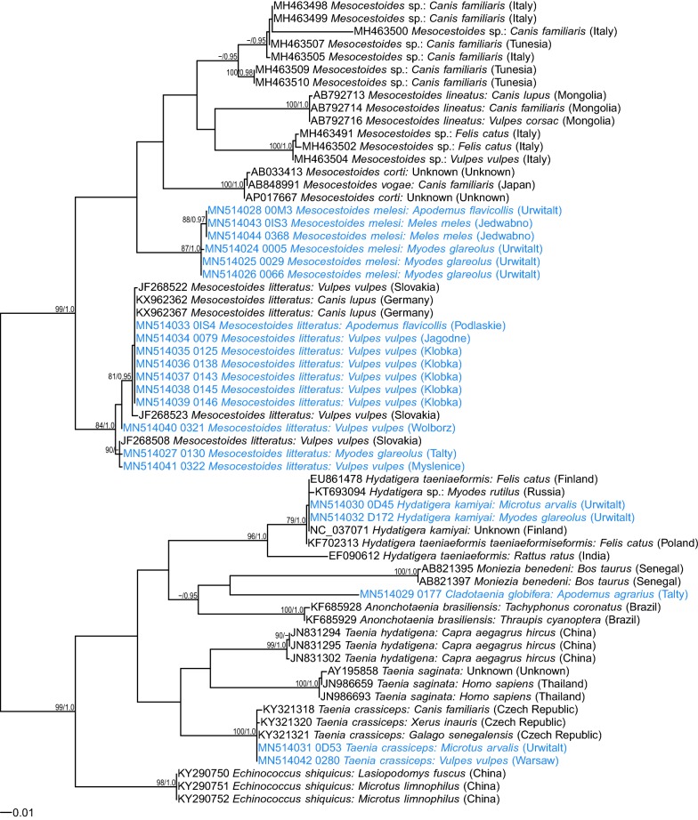 Fig. 3