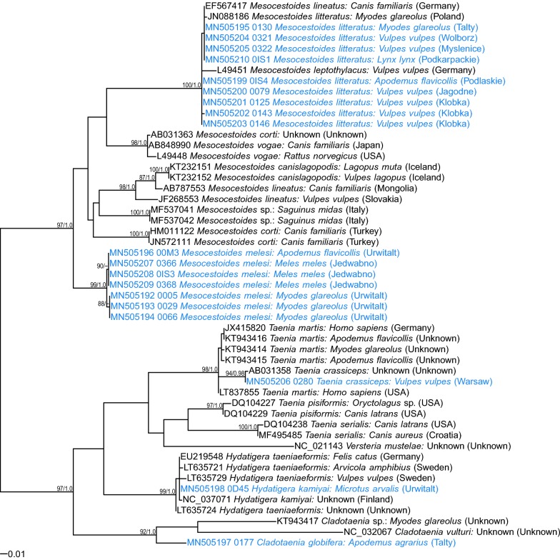 Fig. 2