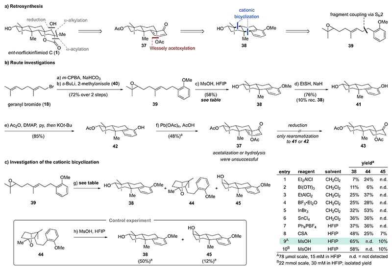 Scheme 4