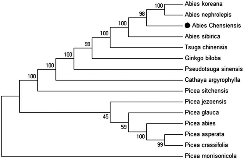 Figure 1.